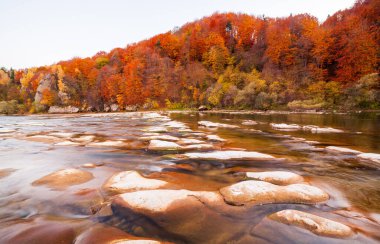 Sonbaharda şelalenin manzarası. Sonbahar renklerinde şelale. Sonbahar manzarasında dağ nehri. Ukrayna, Stryj Nehri.