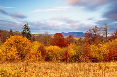 Karpatlar, Ukrayna. Sonbahar ormanı gölünün üzerindeki bulutlu gökyüzünde gün batımı. Kıyı seviyesinden görünüm, turuncu-sarı renkli görüntü.