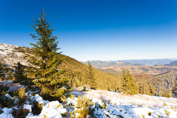 Ucrânia. Uma vista pitoresca das montanhas, coberta de floresta e coberta de neve. Paisagem com montanhas dos Cárpatos e neve branca. Belo panorama de inverno de montanhas e neve. — Fotografia de Stock