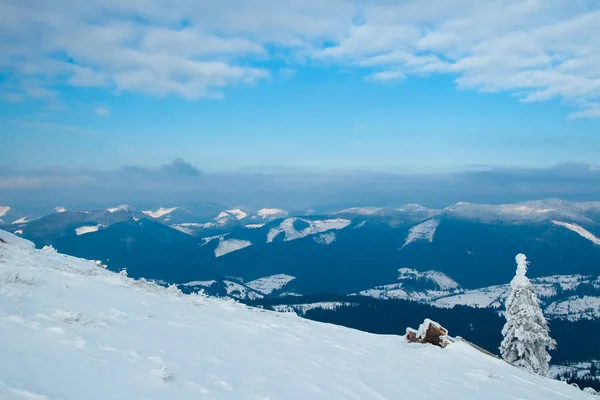 Carpathian mountains, Ukraine. Beautiful winter landscape. The forrest ist covered with snow. — Stockfoto