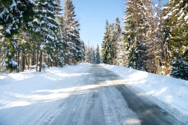 Karpat Dağları, Ukrayna. Karlı dağların güzel manzarası