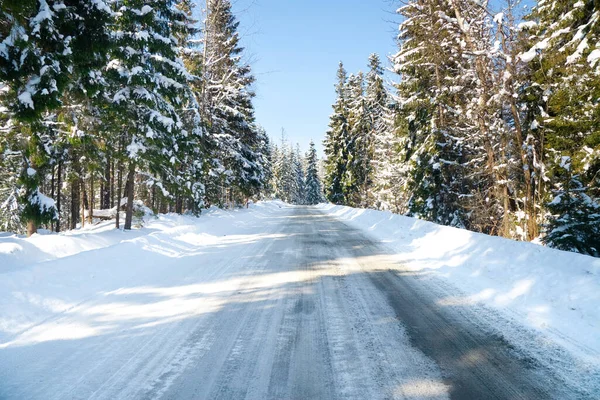 Karpat Dağları, Ukrayna. Karlı dağların güzel manzarası