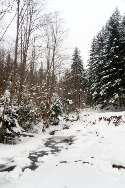 Kışın nehirler, kar ve buzla