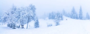 Karla kaplı ağaçlarla kaplı güzel bir kış manzarası. Kış dağları.