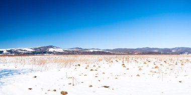 Karpat Dağları, Ukrayna. Dağ zirvelerinin arka planına karşı karla kaplı harika fırtınalar. Resimli karlı kış manzarasının panoramik görüntüsü. Muhteşem ve sakin güneşli bir gün..