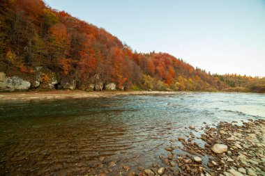 Sonbaharda şelalenin manzarası. Sonbahar renklerinde şelale. Sonbahar manzarasında dağ nehri. Ukrayna, Stryj Nehri.