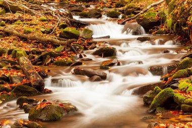 Ukpaine. Yosunlu kayaların arasında şelale. Günbatımında Karpat Dağları 'nda sonbahar ormanlarındaki bir nehirde güzel manzara akıntıları. Ulusal park Shypit Carpat 'ta gümüş akıntısı. Kuklalar.