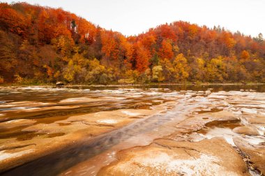 Sonbaharda şelalenin manzarası. Sonbahar renklerinde şelale. Sonbahar manzarasında dağ nehri. Ukrayna, Stryj Nehri.