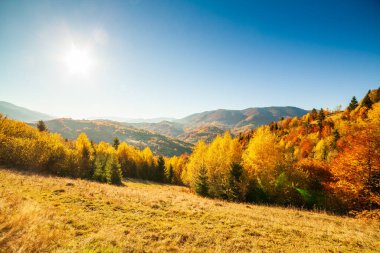 Ukrayna. Harika bir sahne. Dağlı ve bulutlu çok güzel bir kış günbatımı. Güneş ışınları, bulutların kalınlığını aşıyor, etraftaki her şeyi büyülü ışıkla boyuyor. Karpatlar.