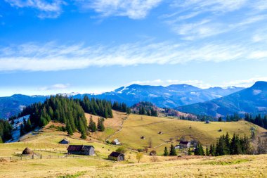 sonbahar dağlar yamaca ağaçta. puslu dağ sırtı bir mesafede, güzel aydınlık yatay