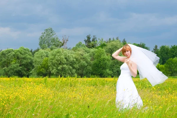 Düğün günü, güzellik, doğa konsepti. Tarlanın ortasında beyaz gelinlik giyen harika bir kadın var. Kendi etrafında dönüyor ve pullar güneşin ışığında parlıyor.