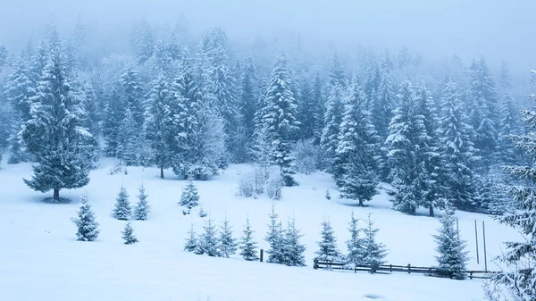 Hermoso paisaje de invierno con árboles cubiertos de nieve. Montañas de invierno. — Foto de Stock