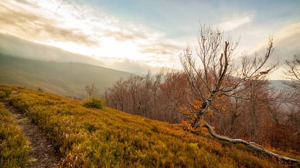 Ukrayna, Magura-Jide dağları ve Karpat dağlarının mavi gökyüzü manzarası. Borzhava dağlarının geniş açık çöl manzaraları. Pylypets, Ulusal Park.