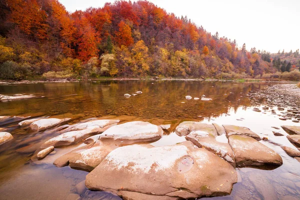 Sonbaharda şelalenin manzarası. Sonbahar renklerinde şelale. Sonbahar manzarasında dağ nehri. Ukrayna, Stryj Nehri.