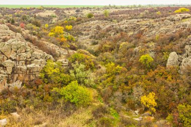 Resimli Ukrayna 'daki küçük bir nehrin üzerinde yeşil bitki örtüsüyle kaplı çok sayıda taş minerali ve onun güzel doğası.
