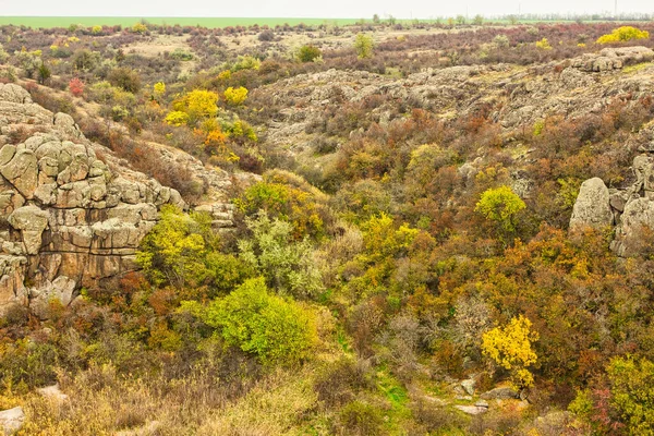 Resimli Ukrayna 'daki küçük bir nehrin üzerinde yeşil bitki örtüsüyle kaplı çok sayıda taş minerali ve onun güzel doğası.