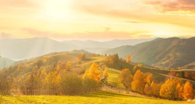 Ukrayna. Köyde ılık bir sonbahar. Resimli kayın, huş ağacı ve çam ağaçları ve Synevyr Geçidi 'nin zeminine karşı Hutsul evleri güzel bir günün ardından parlak renklerle çok güzeldir..