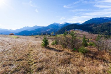 Dağlarla, ormanlarla ve Ukrayna 'daki Karpat Dağları' ndaki ağaçlarla harika bir manzara..