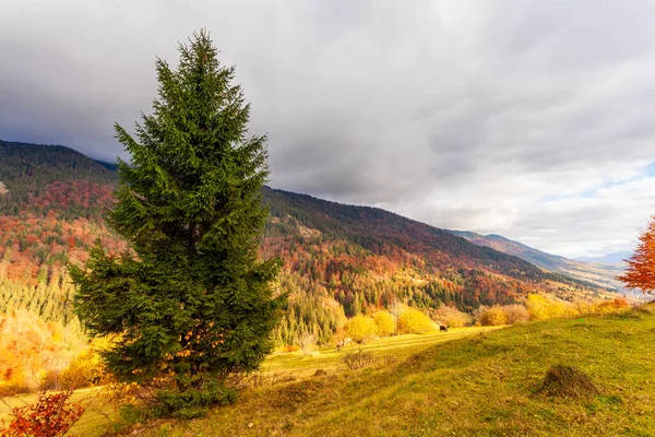 Güz Dağı Vadisi 'nde güzel bir sabah ve içinde küçük bir köy. Samanlık ve çam ağacıyla sisli dağların panoramik manzarası.