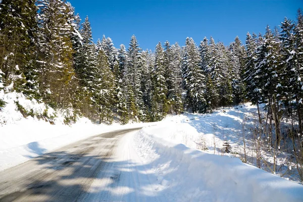 Karpat Dağları, Ukrayna. Karlı dağların güzel manzarası