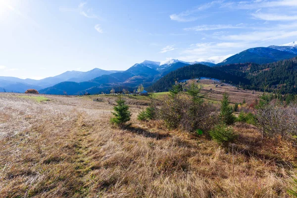 Dağlarla, ormanlarla ve Ukrayna 'daki Karpat Dağları' ndaki ağaçlarla harika bir manzara..