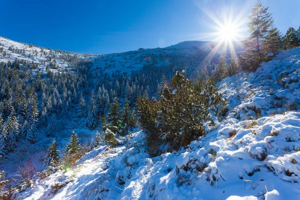 Ucrânia. Uma vista pitoresca das montanhas, coberta de floresta e coberta de neve. Paisagem com montanhas dos Cárpatos e neve branca. Belo panorama de inverno de montanhas e neve. — Fotografia de Stock