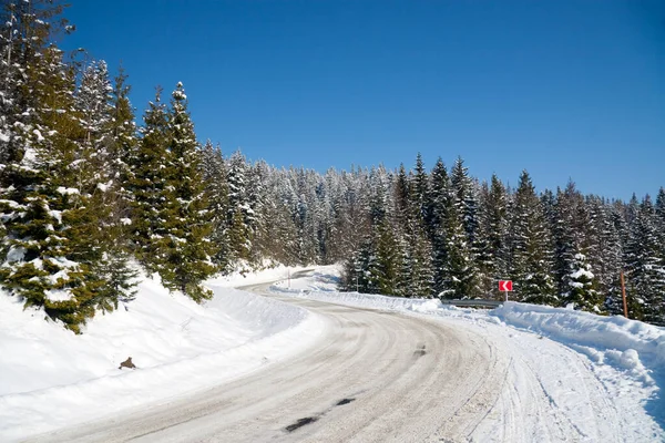 Karpat Dağları, Ukrayna. Karlı dağların güzel manzarası
