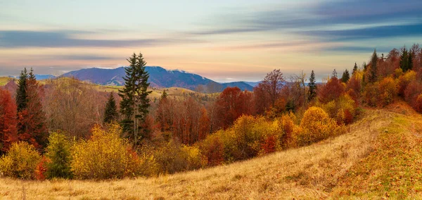 Karpatlar, Ukrayna. Sonbahar ormanı gölünün üzerindeki bulutlu gökyüzünde gün batımı. Kıyı seviyesinden görünüm, turuncu-sarı renkli görüntü.