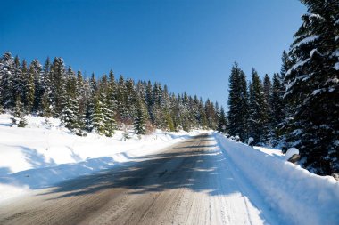 Karpat Dağları, Ukrayna. Karlı dağların güzel manzarası