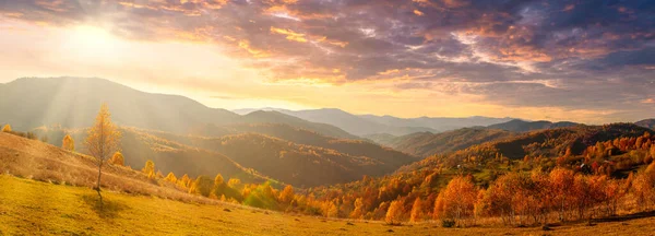 Ukraine. Warm autumn in a village. Picturesque beech, birch and pine forests and Hutsul houses against the backdrop of the Synevyr Pass ridge are very beautiful with bright colors after a fine day. — Stockfoto