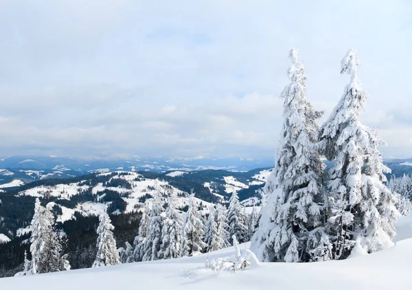 Carpathian mountains, Ukraine. Trees covered with hoarfrost and snow in winter mountains - Christmas snowy background — Stok fotoğraf