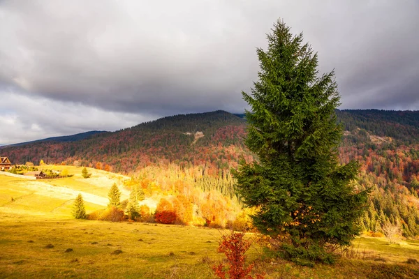 Gyönyörű reggel ősszel hegyi völgyben és egy kis faluban. Panorámás táj ködös hegyek szénakazal és lucfenyő. — Stock Fotó