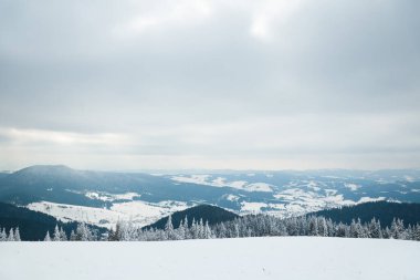 Karpat Dağları, Ukrayna. Güzel kış manzarası. Orman işçisi karla kaplı..