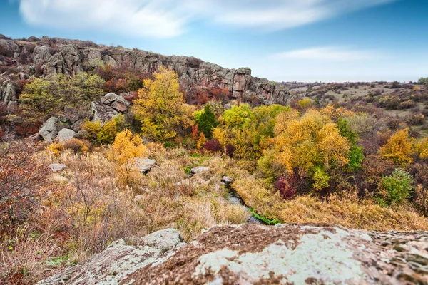 Resimli Ukrayna 'daki küçük bir nehrin üzerinde yeşil bitki örtüsüyle kaplı çok sayıda taş minerali ve onun güzel doğası.