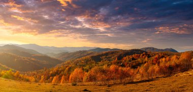 Ukrayna. Köyde ılık bir sonbahar. Resimli kayın, huş ağacı ve çam ağaçları ve Synevyr Geçidi 'nin zeminine karşı Hutsul evleri güzel bir günün ardından parlak renklerle çok güzeldir..