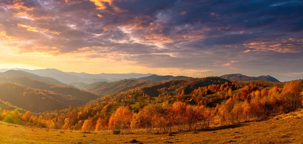 Ukrayna. Köyde ılık bir sonbahar. Resimli kayın, huş ağacı ve çam ağaçları ve Synevyr Geçidi 'nin zeminine karşı Hutsul evleri güzel bir günün ardından parlak renklerle çok güzeldir..