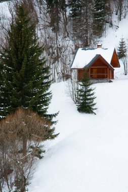 Dağın tepesinden, ormandaki donma ve alçak bulut manzarası.