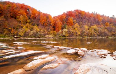 Sonbaharda şelalenin manzarası. Sonbahar renklerinde şelale. Sonbahar manzarasında dağ nehri. Ukrayna, Stryj Nehri.