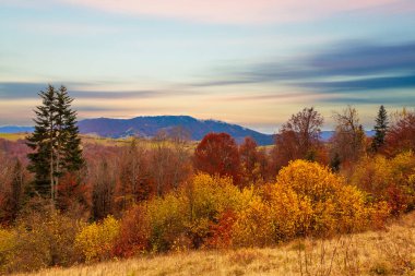 Karpatlar, Ukrayna. Sonbahar ormanı gölünün üzerindeki bulutlu gökyüzünde gün batımı. Kıyı seviyesinden görünüm, turuncu-sarı renkli görüntü.