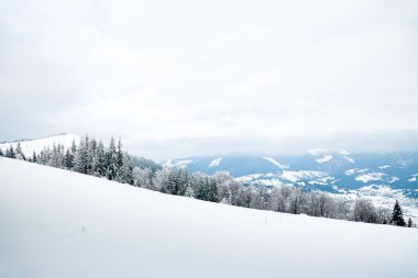 Karpat Dağları, Ukrayna. Güzel kış manzarası. Orman işçisi karla kaplı..