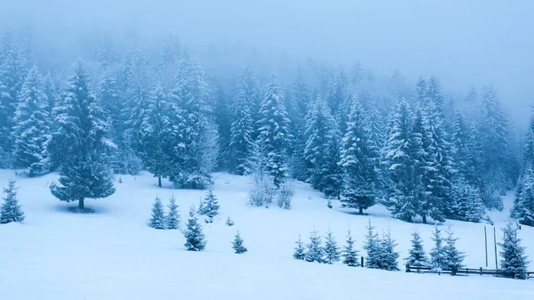 Karla kaplı ağaçlarla kaplı güzel bir kış manzarası. Kış dağları.
