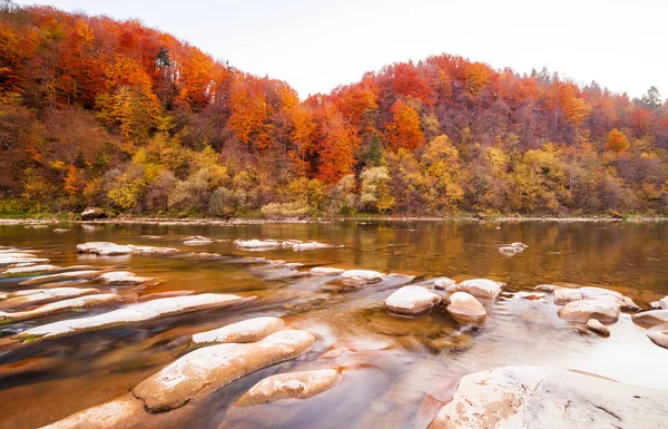 Sonbaharda şelalenin manzarası. Sonbahar renklerinde şelale. Sonbahar manzarasında dağ nehri. Ukrayna, Stryj Nehri.