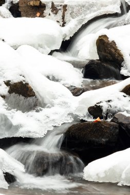 Küçük, aktif bir şelale. Temiz dağ deresi, karlı kış manzarası, vahşi yaşam geçmişi
