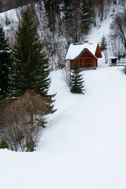 Dağın tepesinden, ormandaki donma ve alçak bulut manzarası.