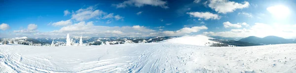 Carpathian mountains, Ukraine. Wonderful snow-covered firs against the backdrop of mountain peaks. Panoramic view of the picturesque snowy winter landscape. Gorgeous and quiet sunny day. — Stok fotoğraf