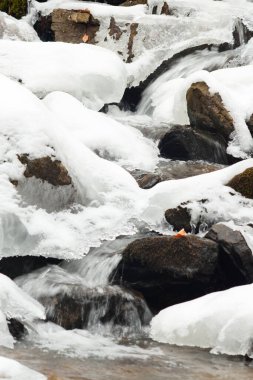 Küçük, aktif bir şelale. Temiz dağ deresi, karlı kış manzarası, vahşi yaşam geçmişi