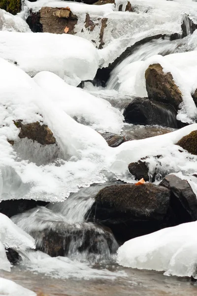 Küçük, aktif bir şelale. Temiz dağ deresi, karlı kış manzarası, vahşi yaşam geçmişi
