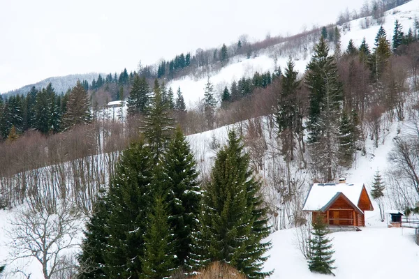 Dağın tepesinden, ormandaki donma ve alçak bulut manzarası.