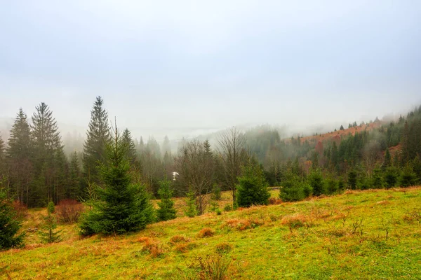 Ukrayna, Karpatlar. Sonbahar dağlarında sabah sisi var. Karlı dağlarla ve koşu sisiyle manzara.