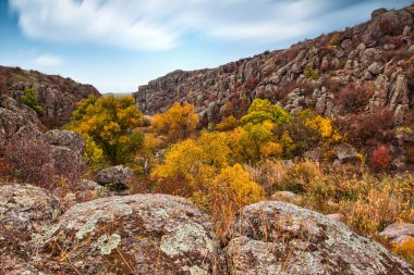 Resimli Ukrayna 'daki küçük bir nehrin üzerinde yeşil bitki örtüsüyle kaplı çok sayıda taş minerali ve onun güzel doğası.